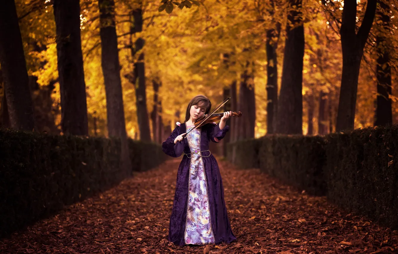 Фото обои осень, скрипка, девочка