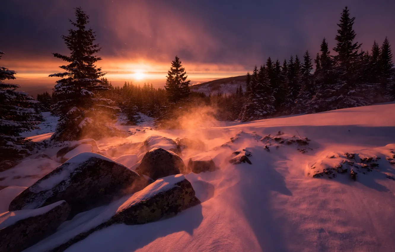 Фото обои зима, солнце, свет, снег, деревья, природа, камни