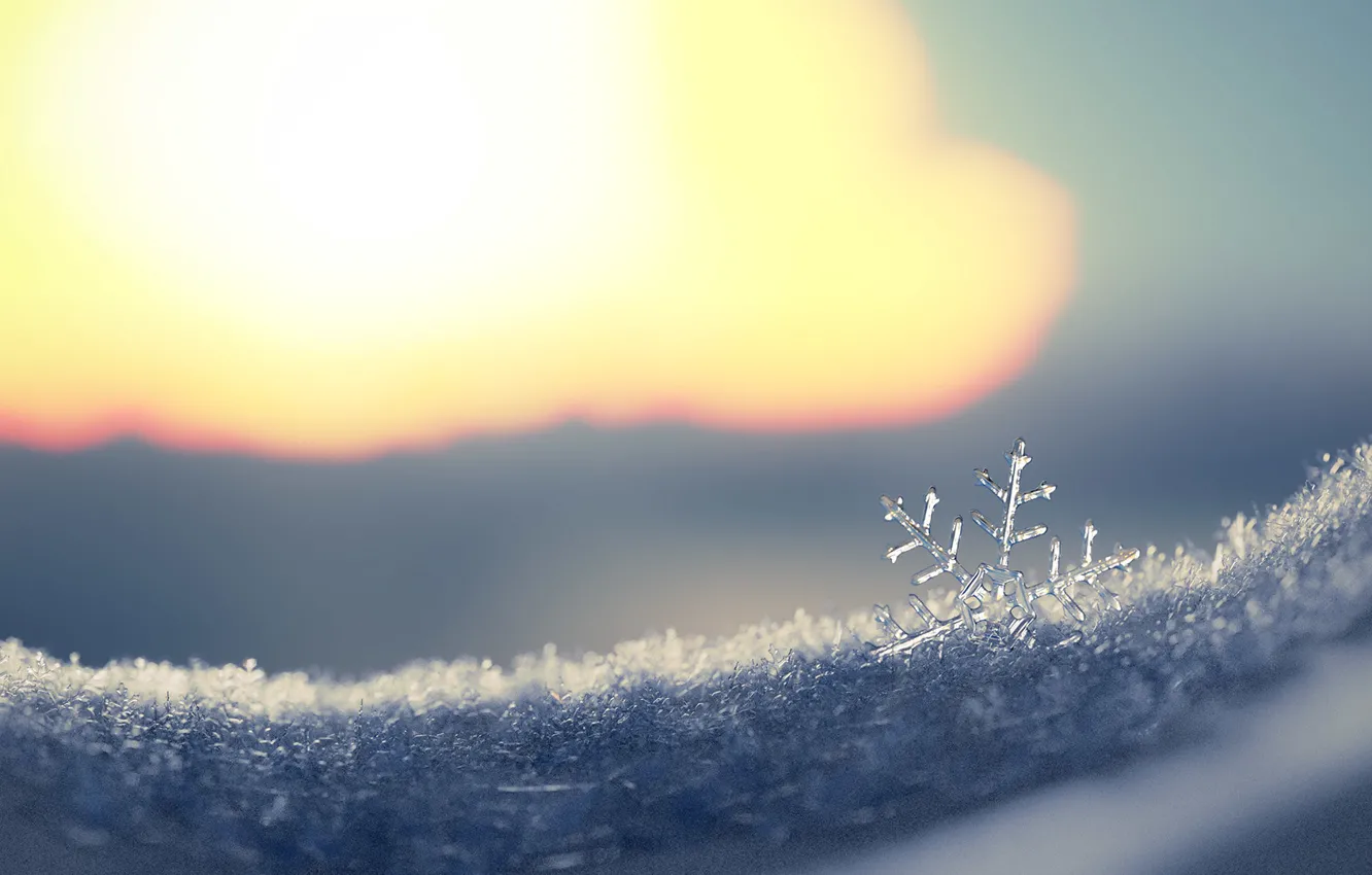Фото обои зима, снег, рендеринг, арт, снежинка, Snowflake, Fernando Antiqueira