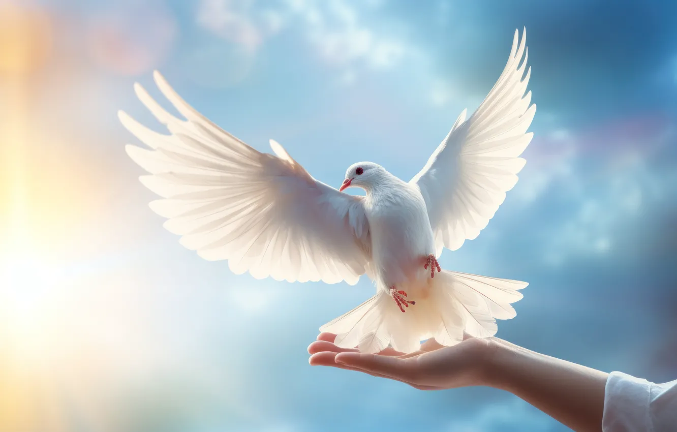 Фото обои белый, небо, девушка, солнце, свет, птица, руки, голуби