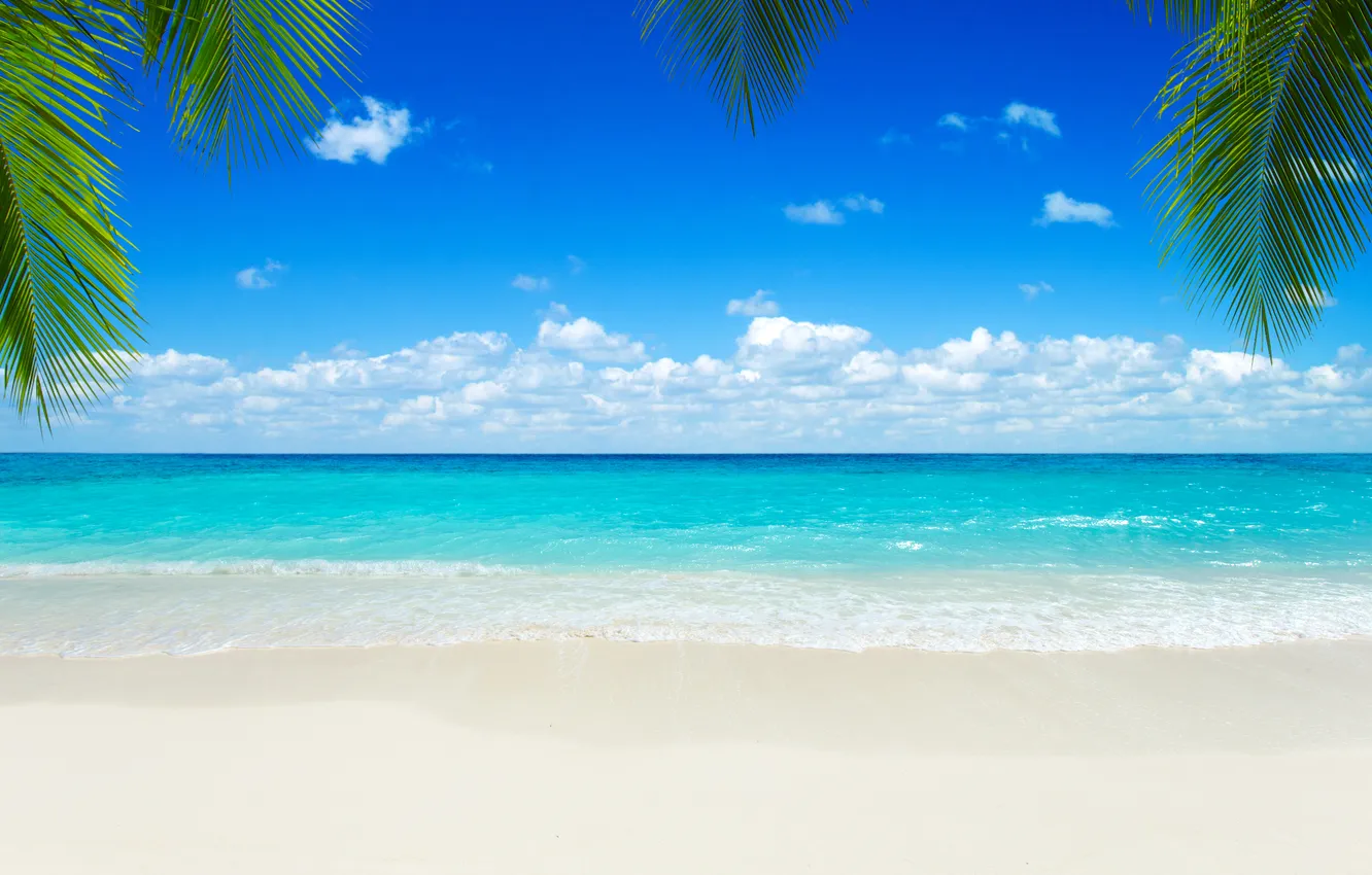 Фото обои песок, море, пляж, лето, небо, пальмы, summer, beach