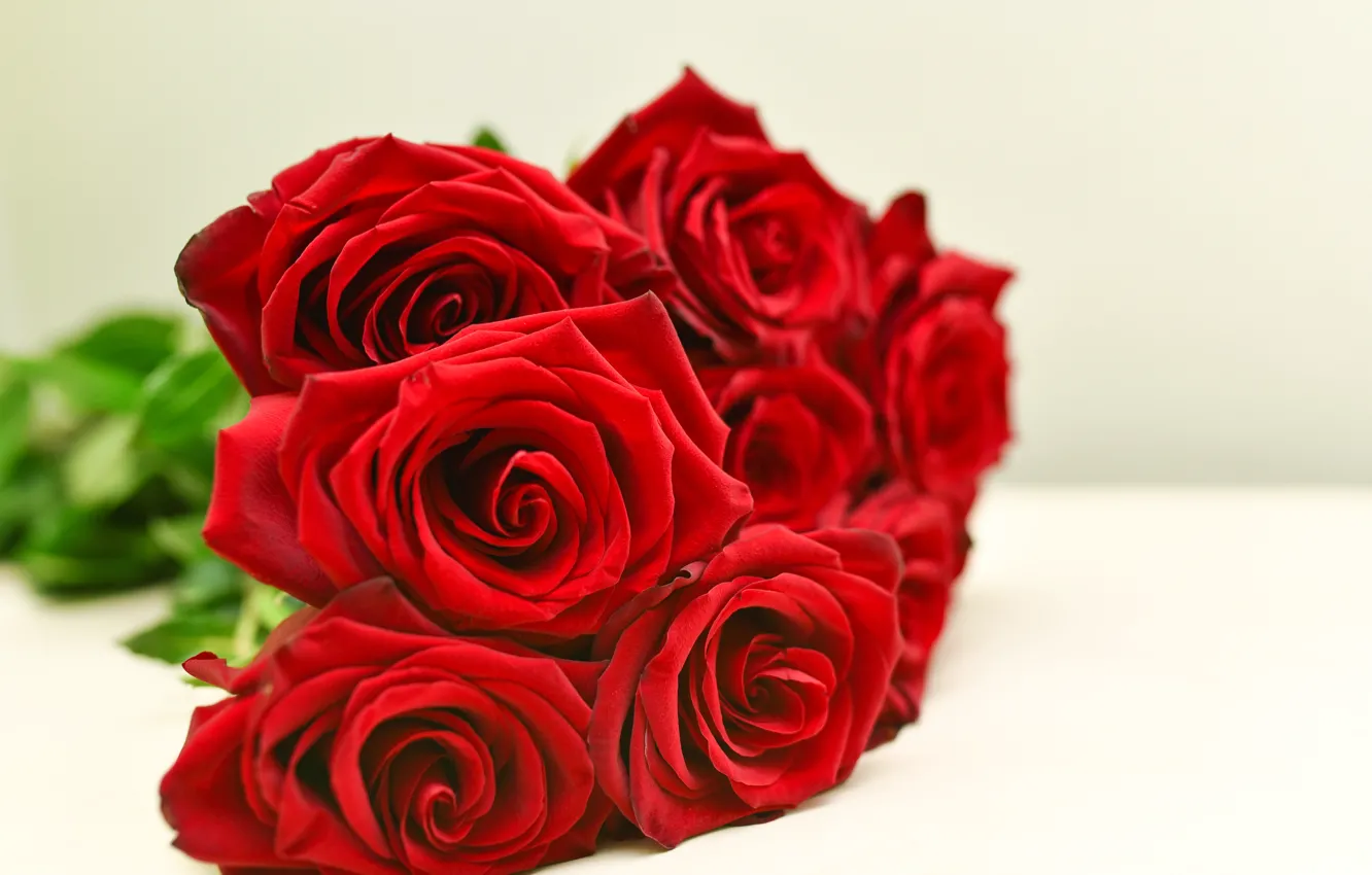 Фото обои розы, красные, red, rose, бутоны, bouguet