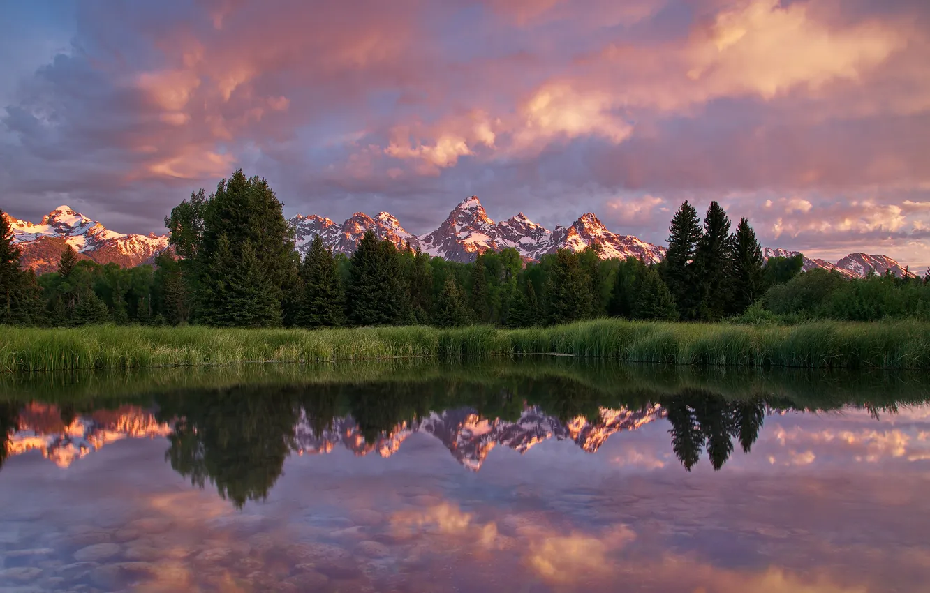 Фото обои лето, горы, отражение, утро, США, штат Вайоминг, Национальный парк Гранд-Титон
