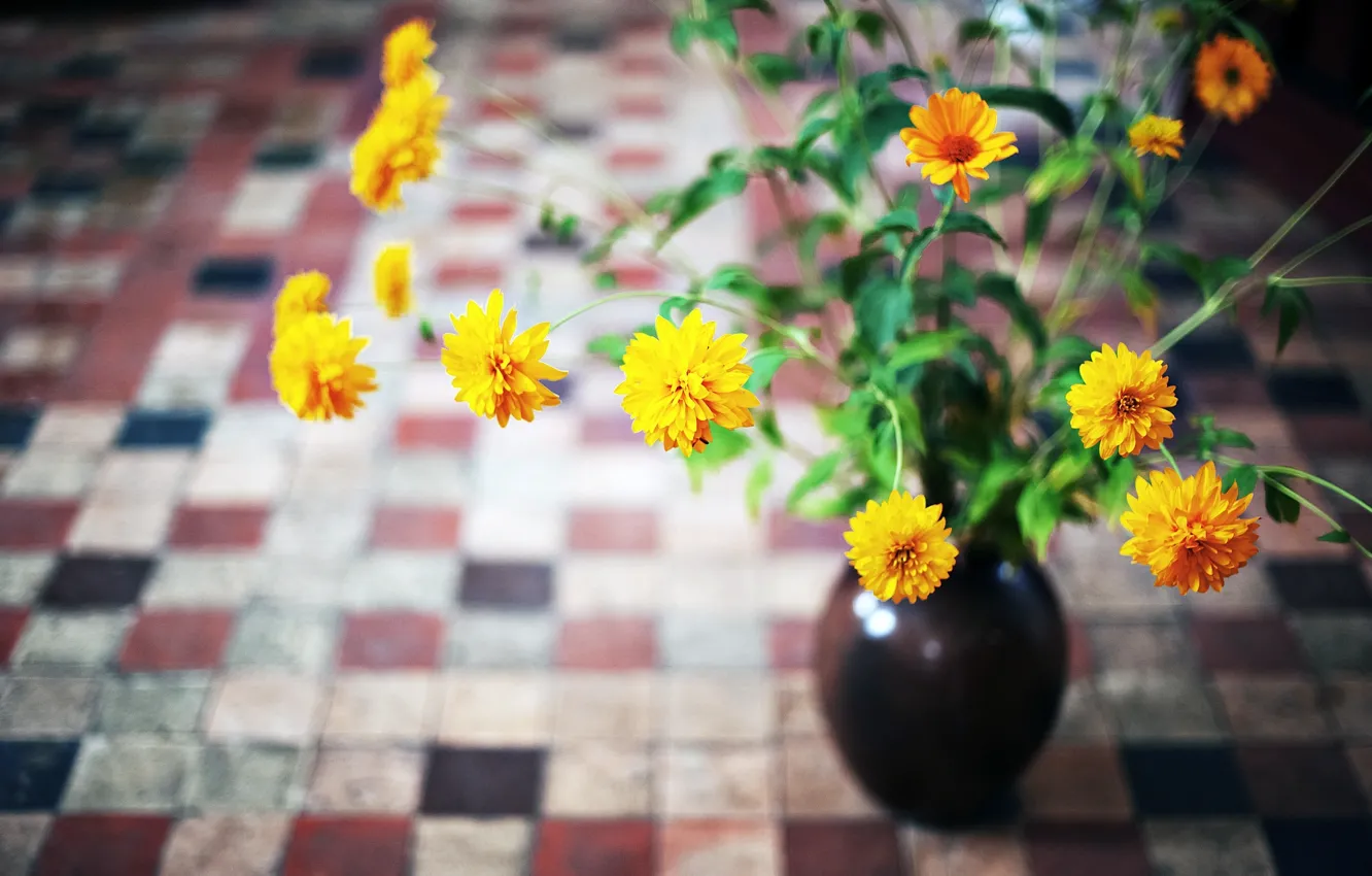 Фото обои листья, цветы, желтые, ваза, оранжевые