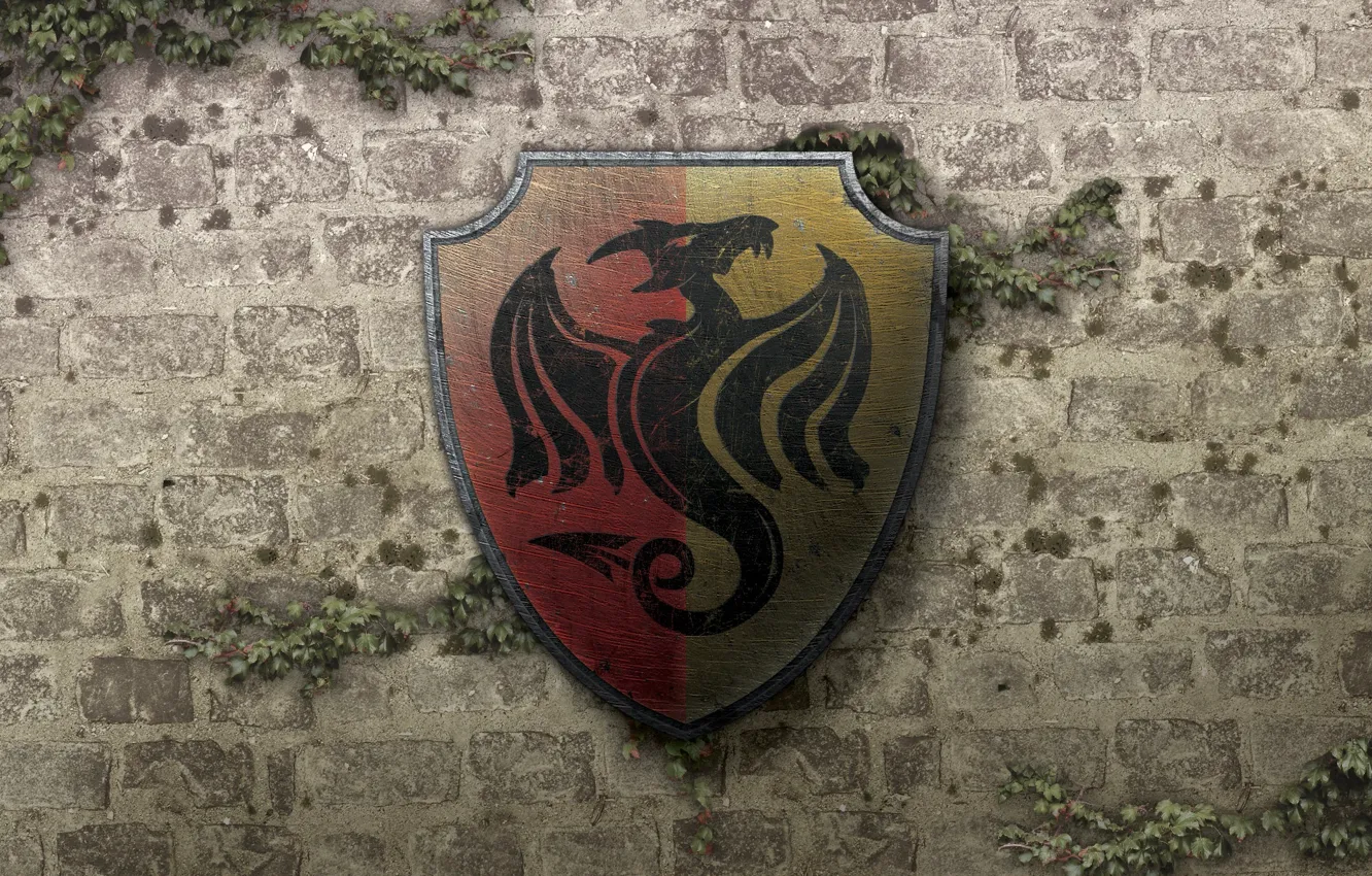 Фото обои стена, дракон, герб