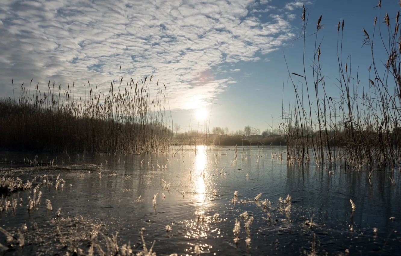 Фото обои зима, озеро, утро
