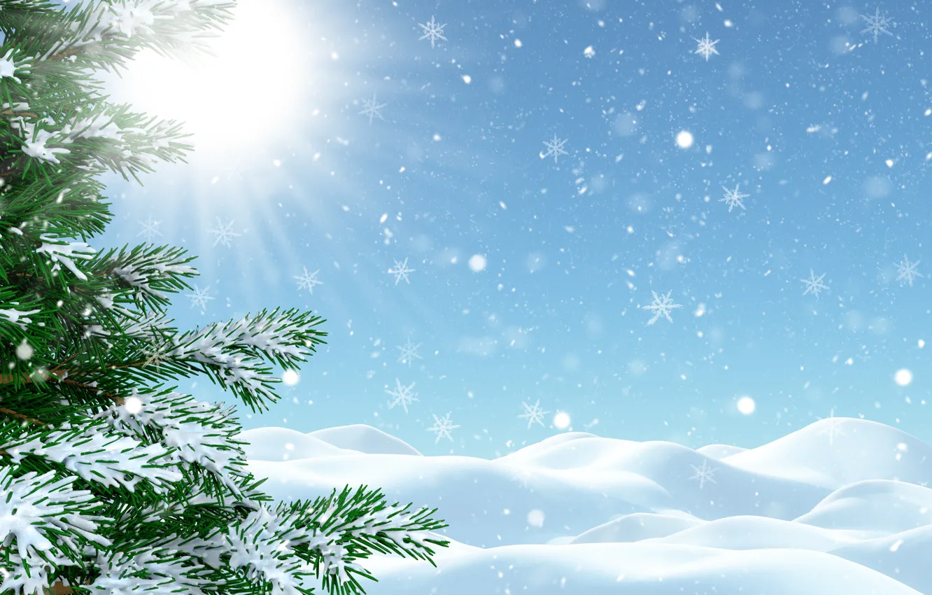 Фото обои зима, иней, небо, солнце, лучи, свет, снег, снежинки