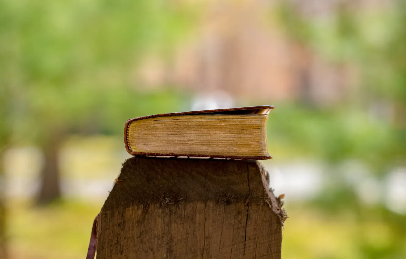 Фото обои Love, Christian, God, Book, Bible, Jesus, Holy Bible, Emmanuel Phaeton