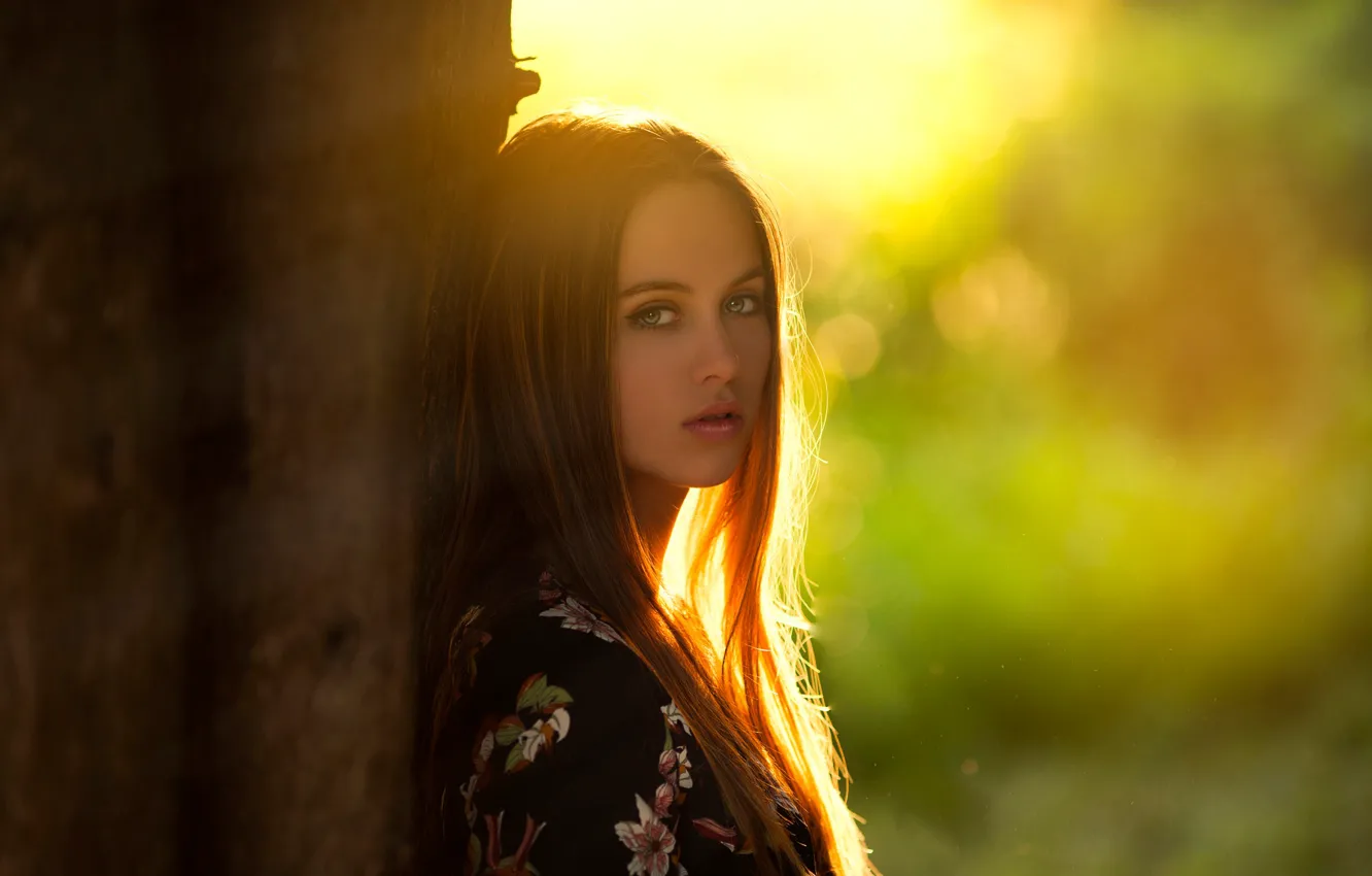 Фото обои girl, Model, green eyes, long hair, photo, sunset, tree, lips