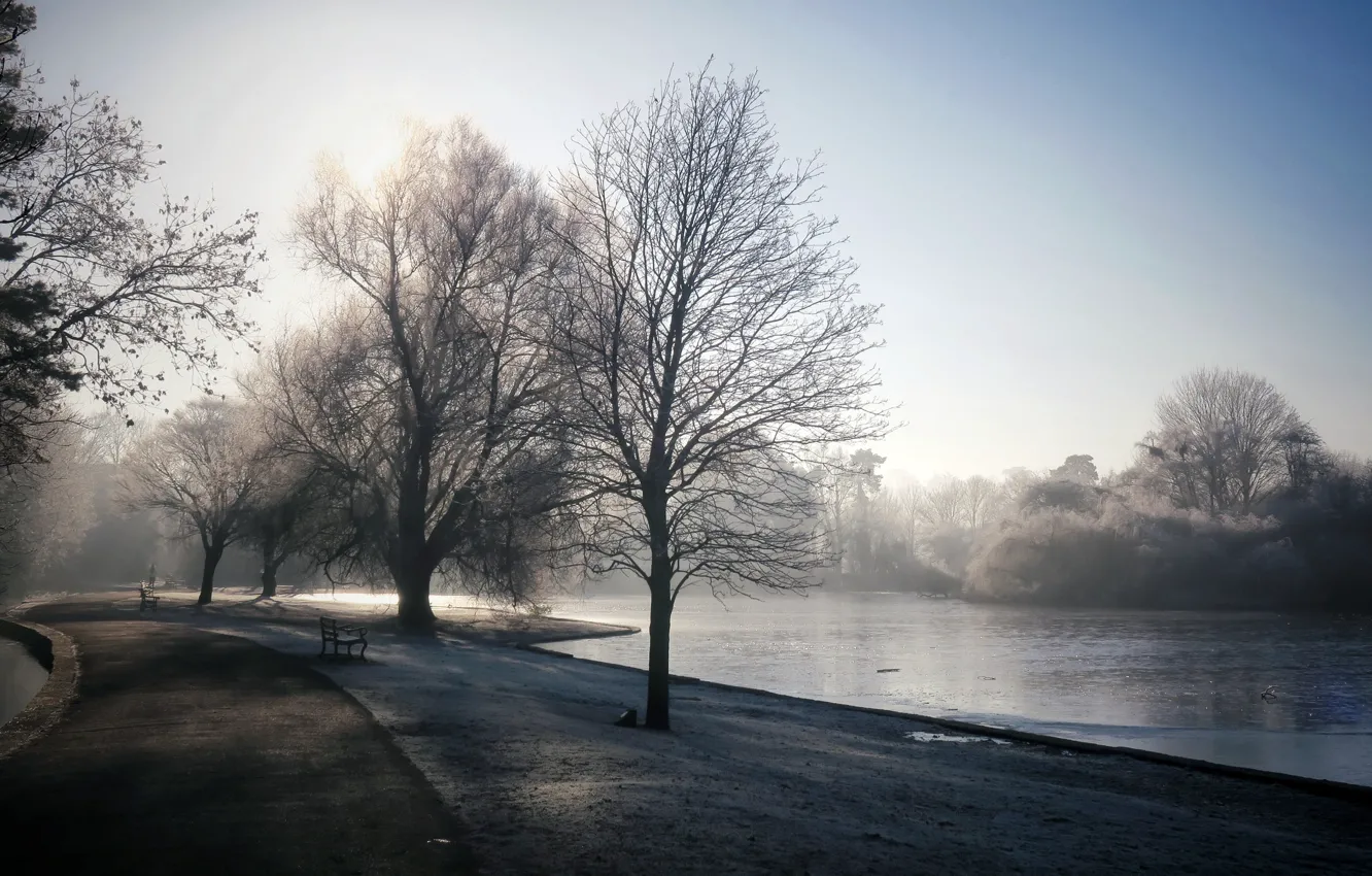Фото обои туман, парк, река, утро, скамья