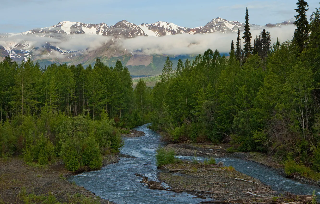 Фото обои лес, деревья, горы, река, Аляска
