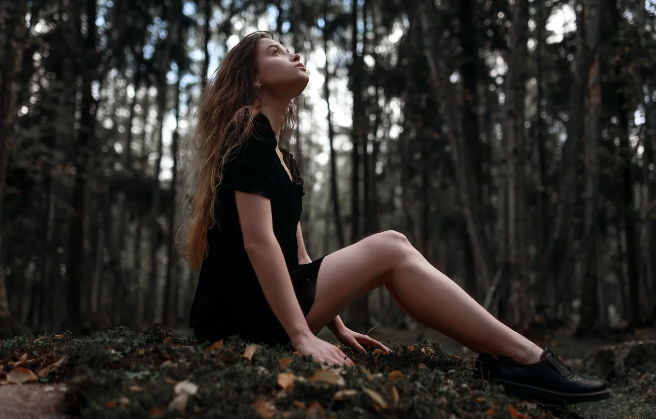 Фото обои лес, девушка, платье, ножки, Ульяна Найденкова, Ксения Чапкаева