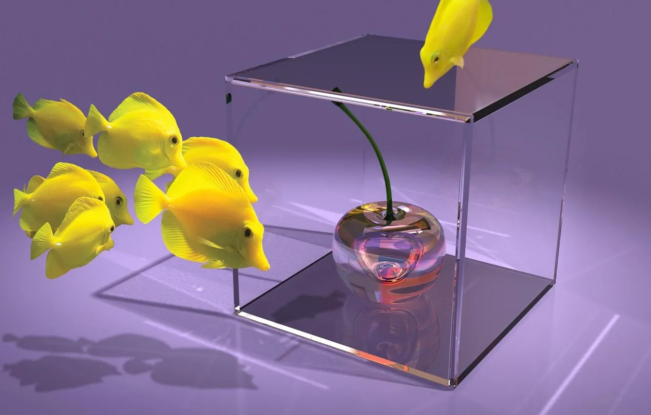 Фото обои рыбки, Fish, Cube, куб, Cherry