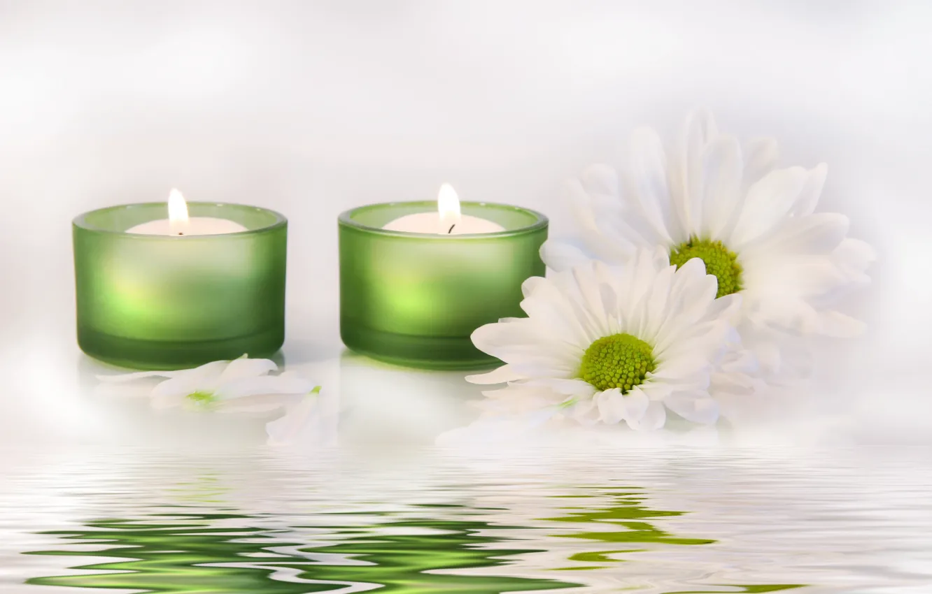 Фото обои вода, цветы, свечи, water, flowers, candles, белые хризантемы, white chrysanthemum