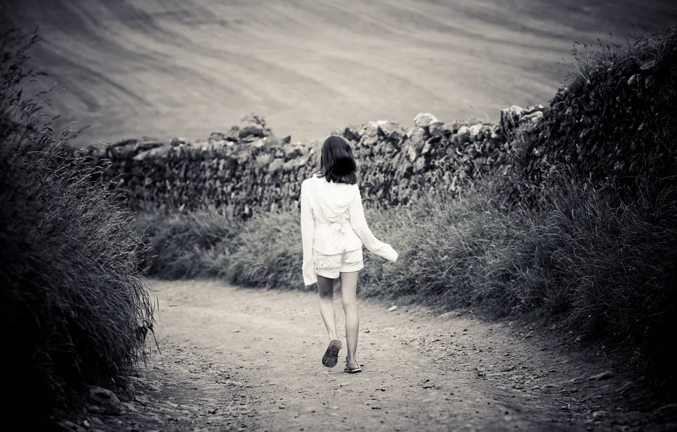 Фото обои дорога, поле, трава, путь, одиночество, камни, настроение, черно-белый