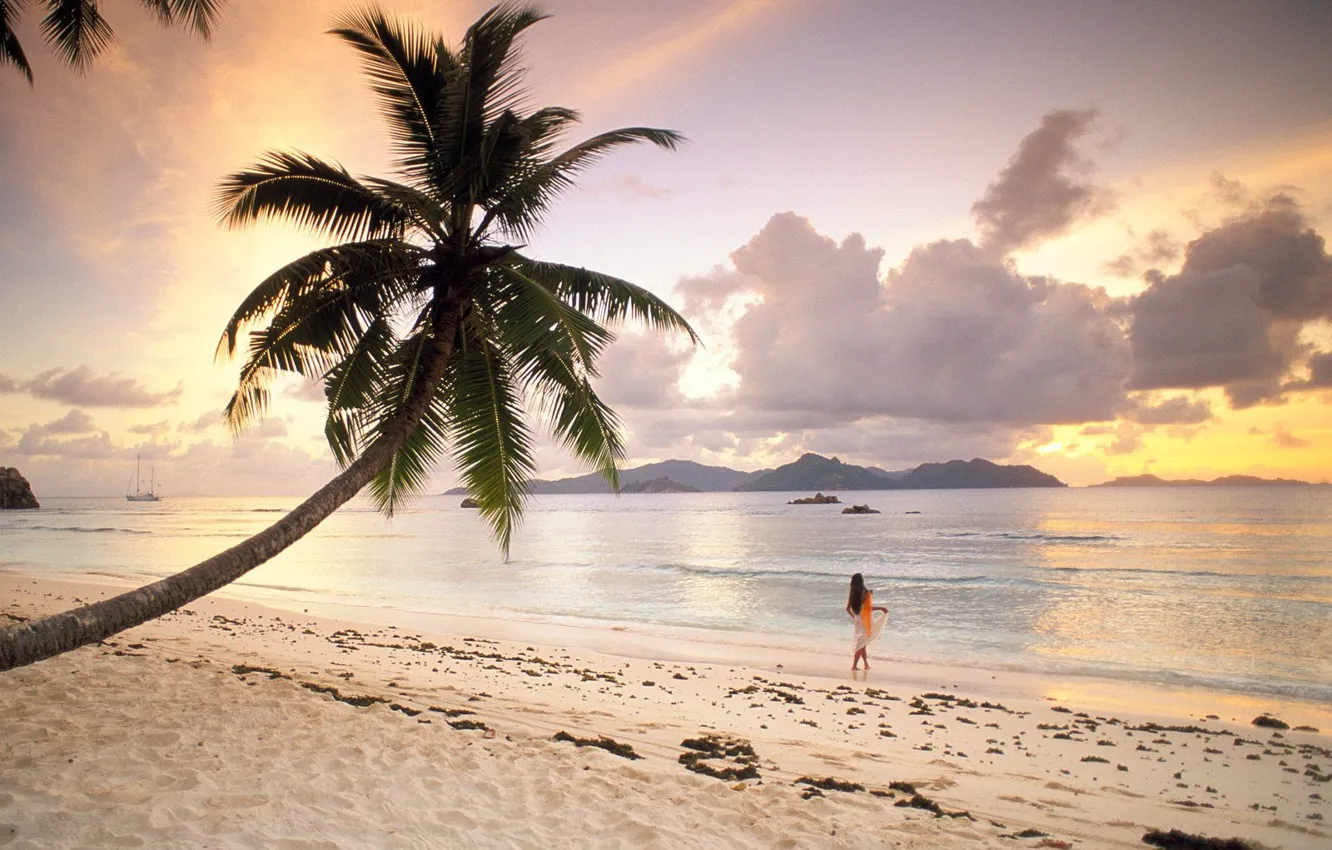Фото обои Пляж, Пальма, Сейшелы
