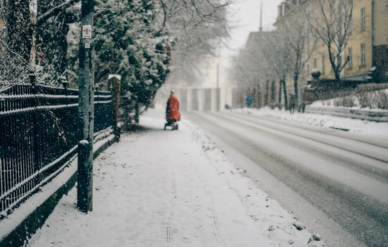 Фото обои зима, снег, улица
