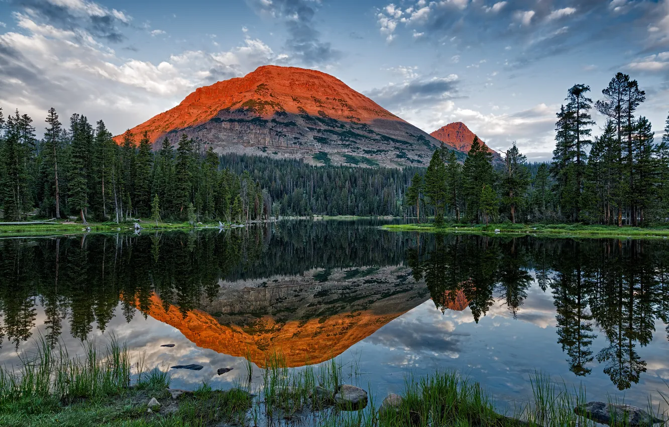 Фото обои лес, озеро, гора, Utah, Mirror Lake, Bald Mountain
