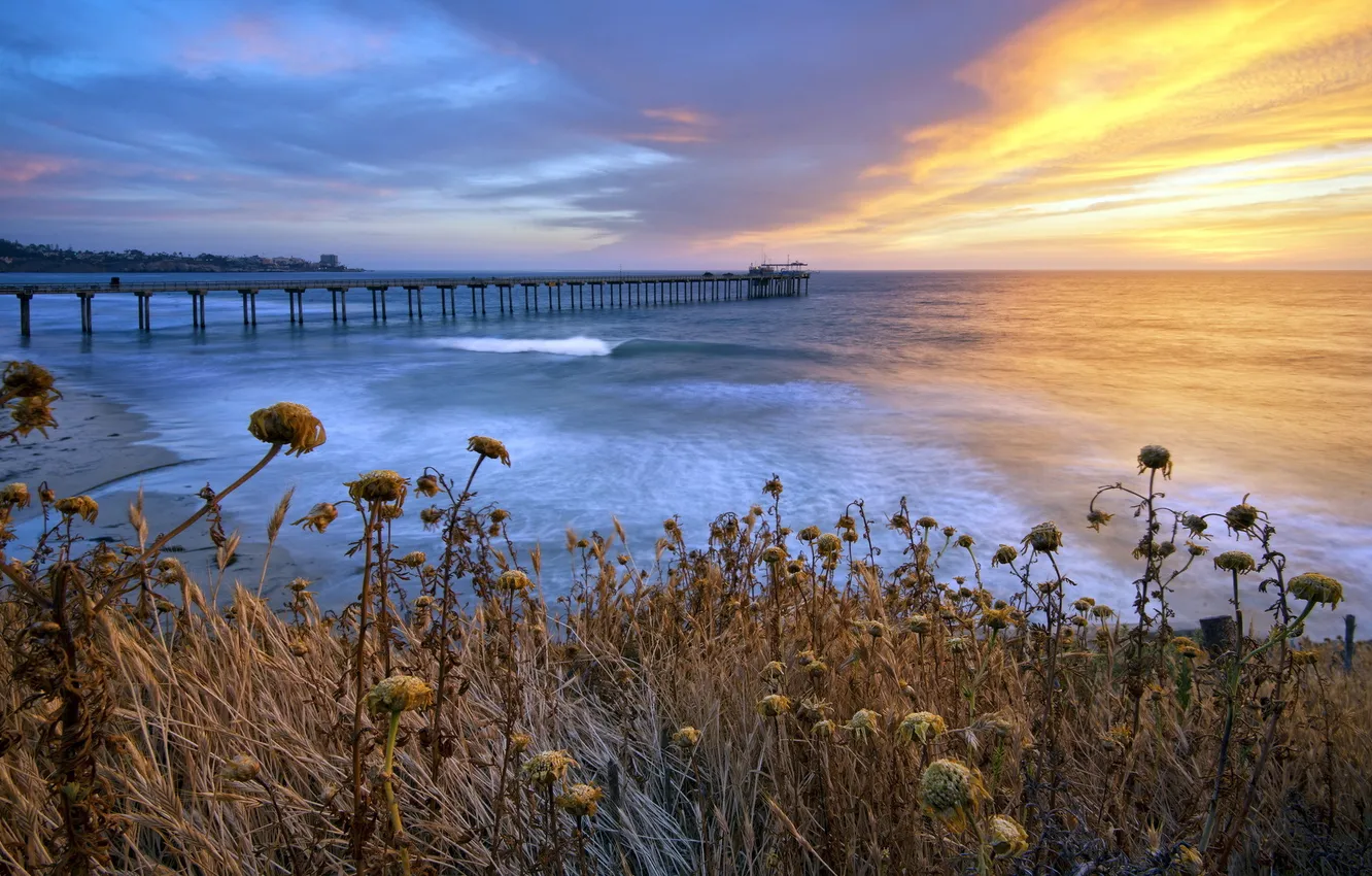 Фото обои California, San Diego, La Jolla Shores