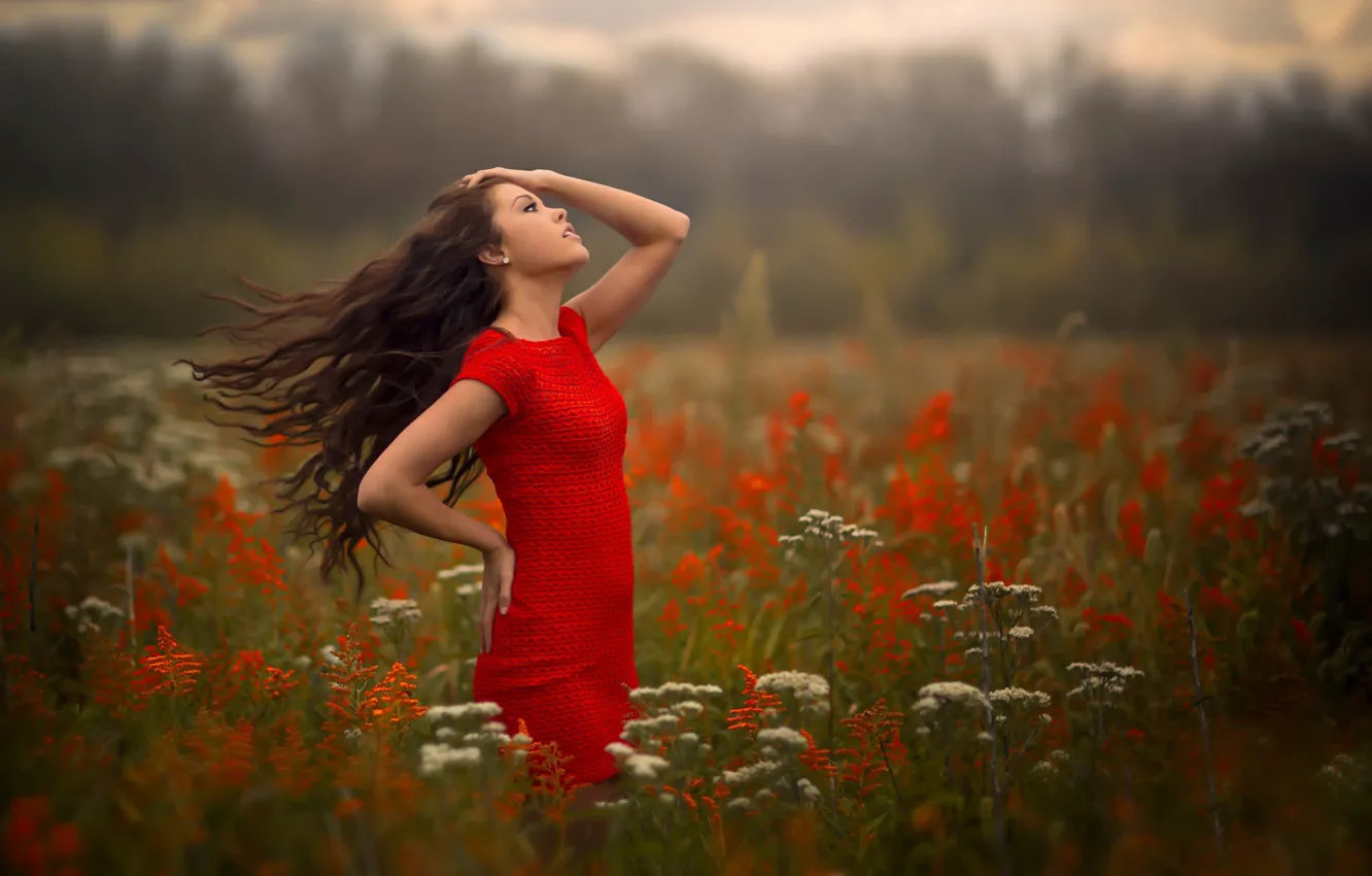Фото обои поле, девушка, ветер, бриз, в красном