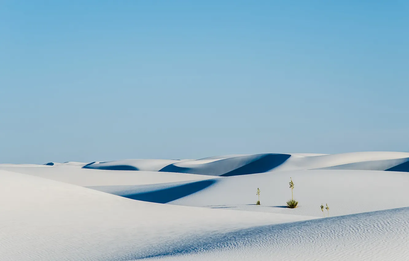 Фото обои sky, nature, sand, plants, Desert, shrubs, white sand, dunes