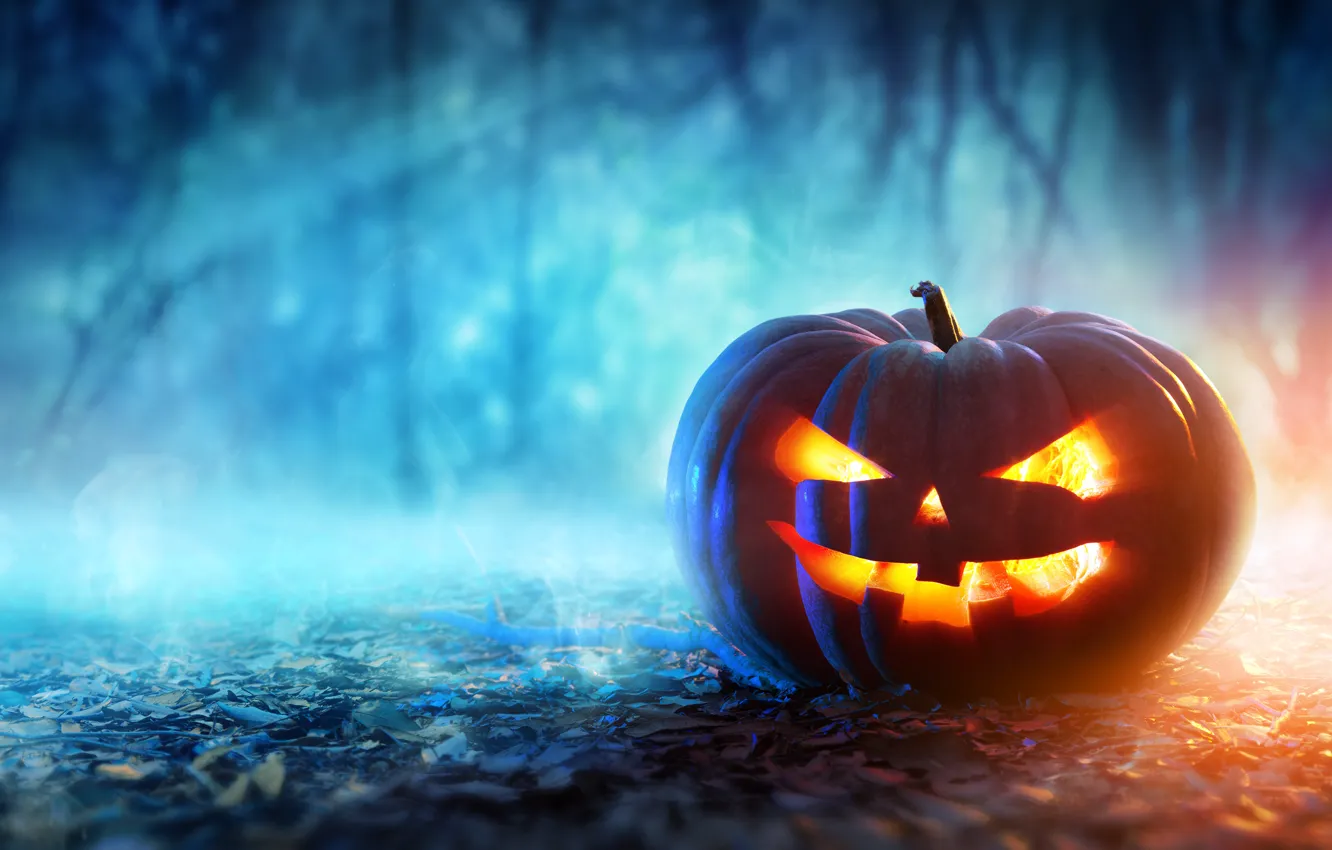 Фото обои halloween, pumpkin, evil face
