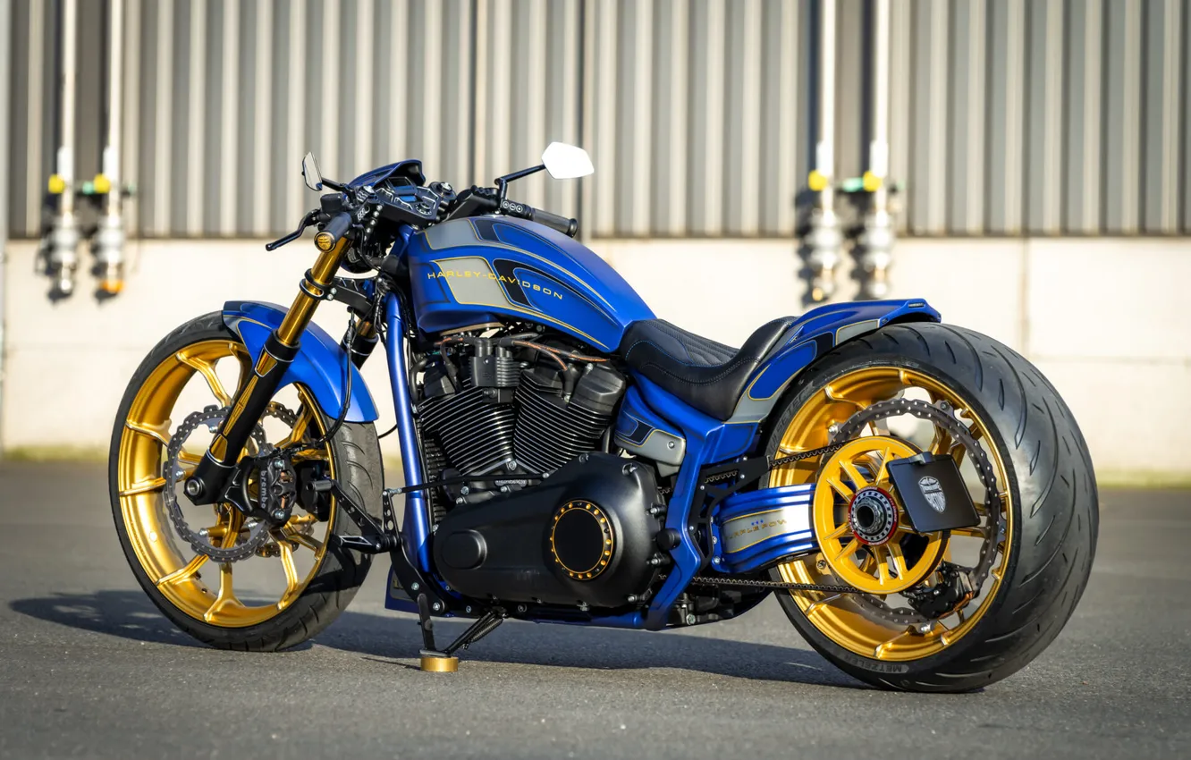 Фото обои Harley-Davidson, Tuning, Softail, Rear, Breakout, Customized, Thunderbike, Custombikes