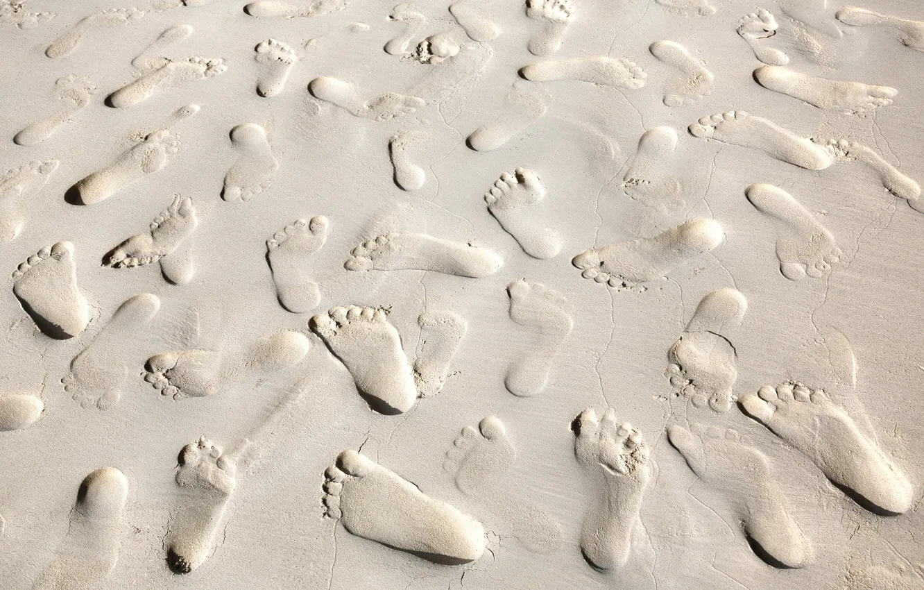 Фото обои песок, пляж, следы, beach, sand, footprints