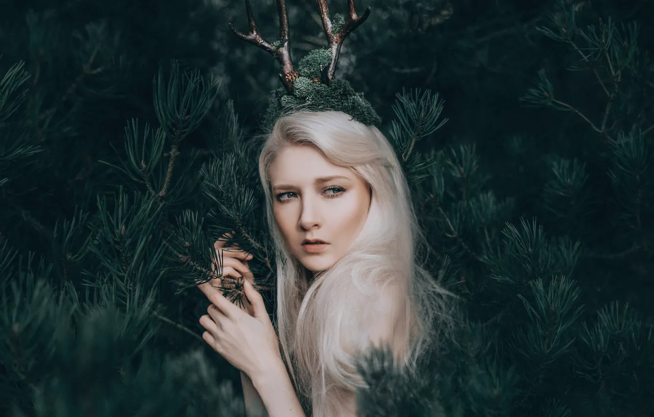 Фото обои лес, девушка, рога, Maria Amanda, Adam Bird, The Woodland Fairy