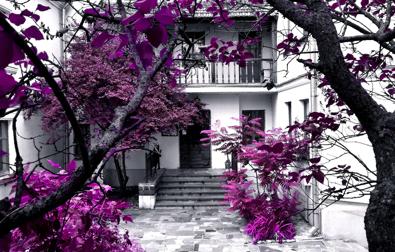 Фото обои city, house, europe, trees, color, purple, architecture, bright