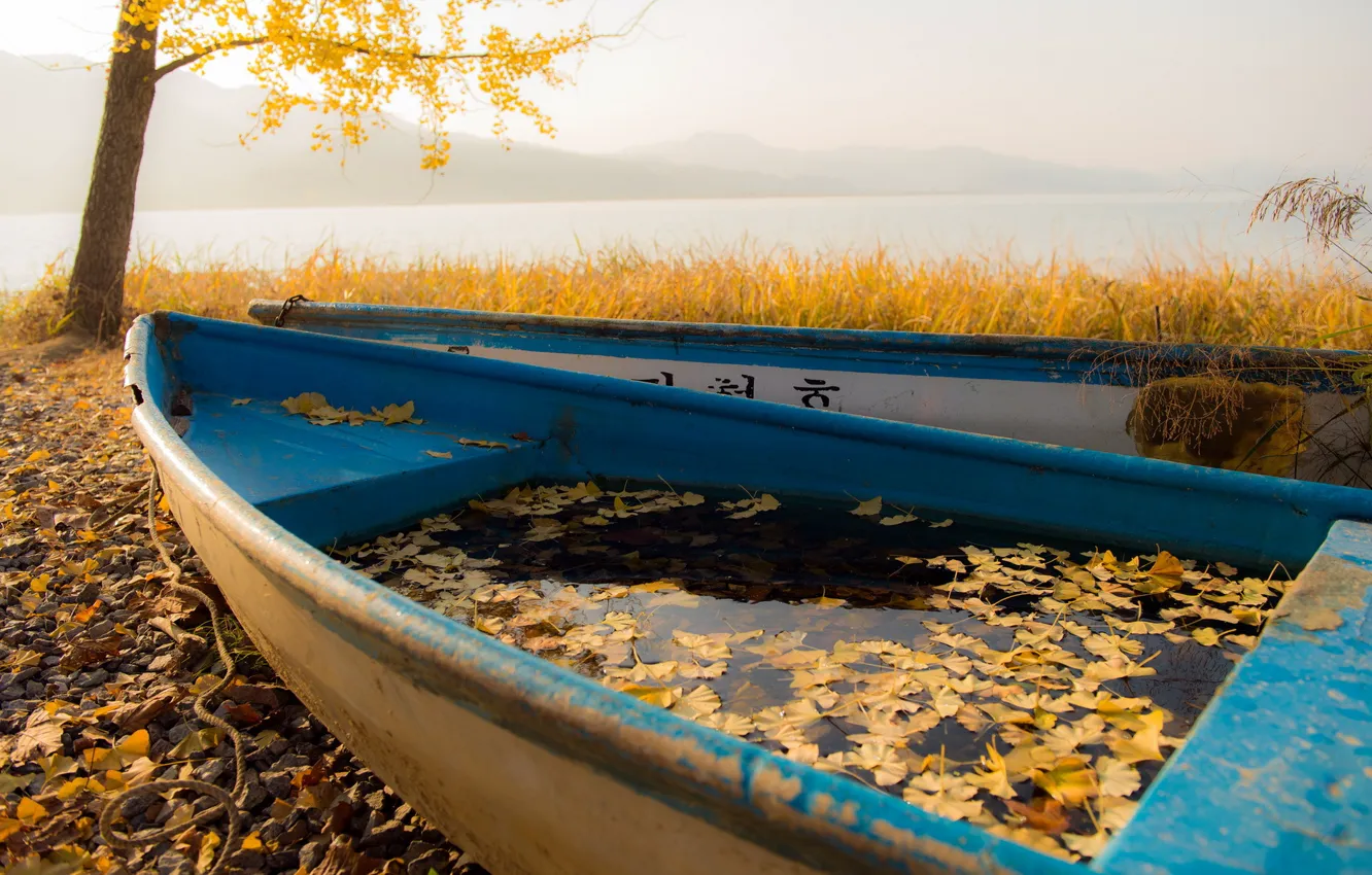 Фото обои осень, листья, лодки