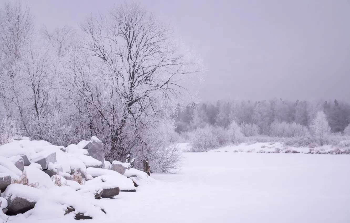 Фото обои снег, пейзаж, дерево, камень, сугробы