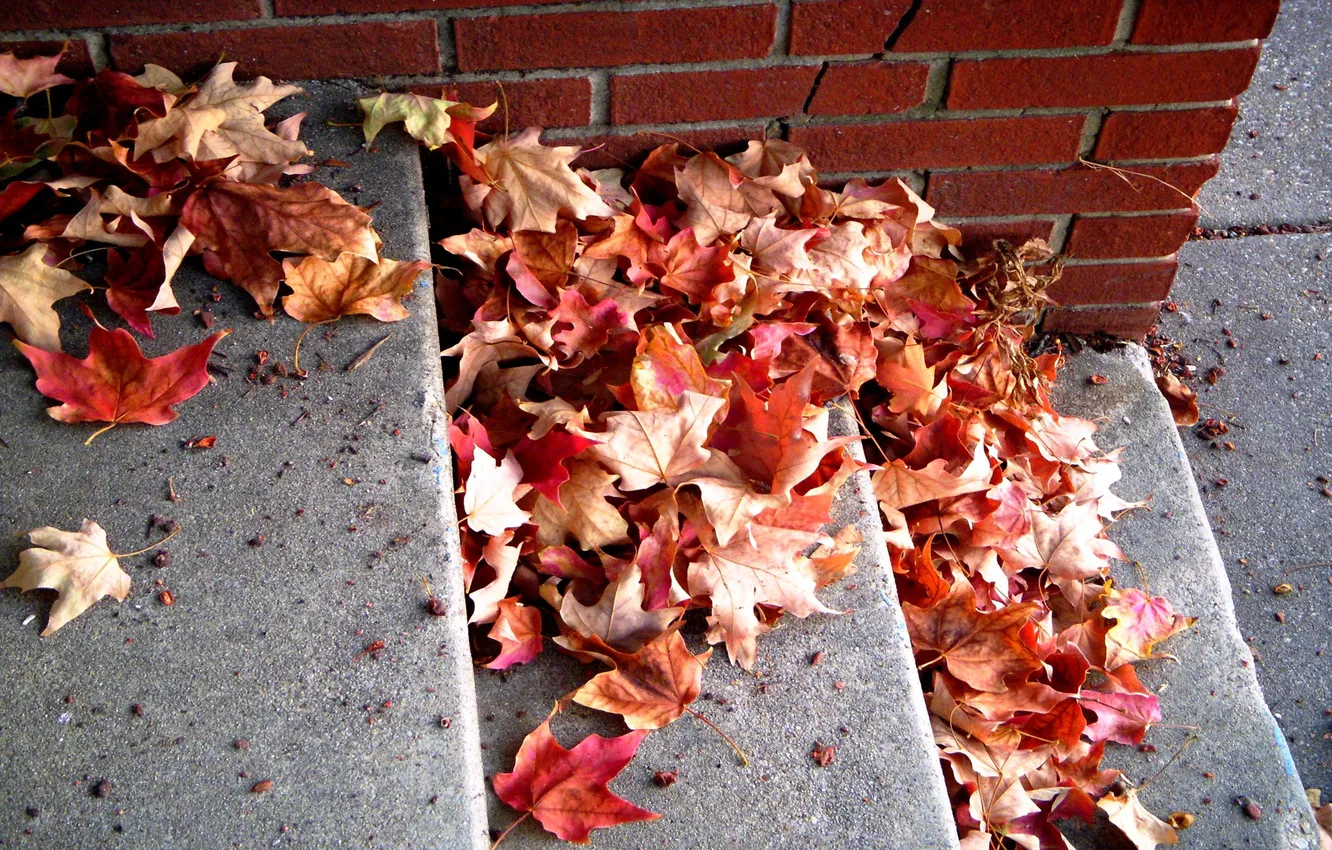 Фото обои листья, кирпич, красные, ступени, опавшие, осенние