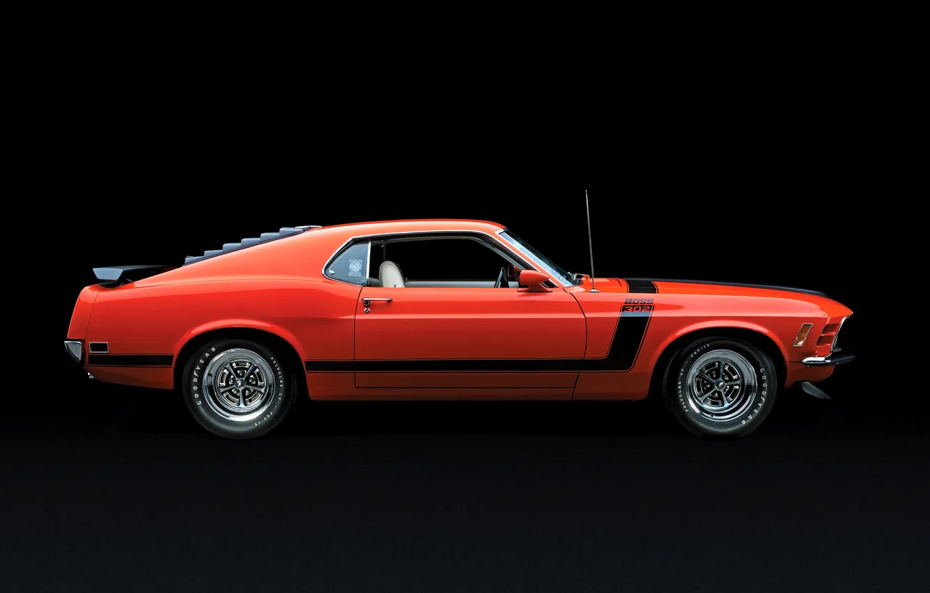 Фото обои Mustang, мустанг, boss302