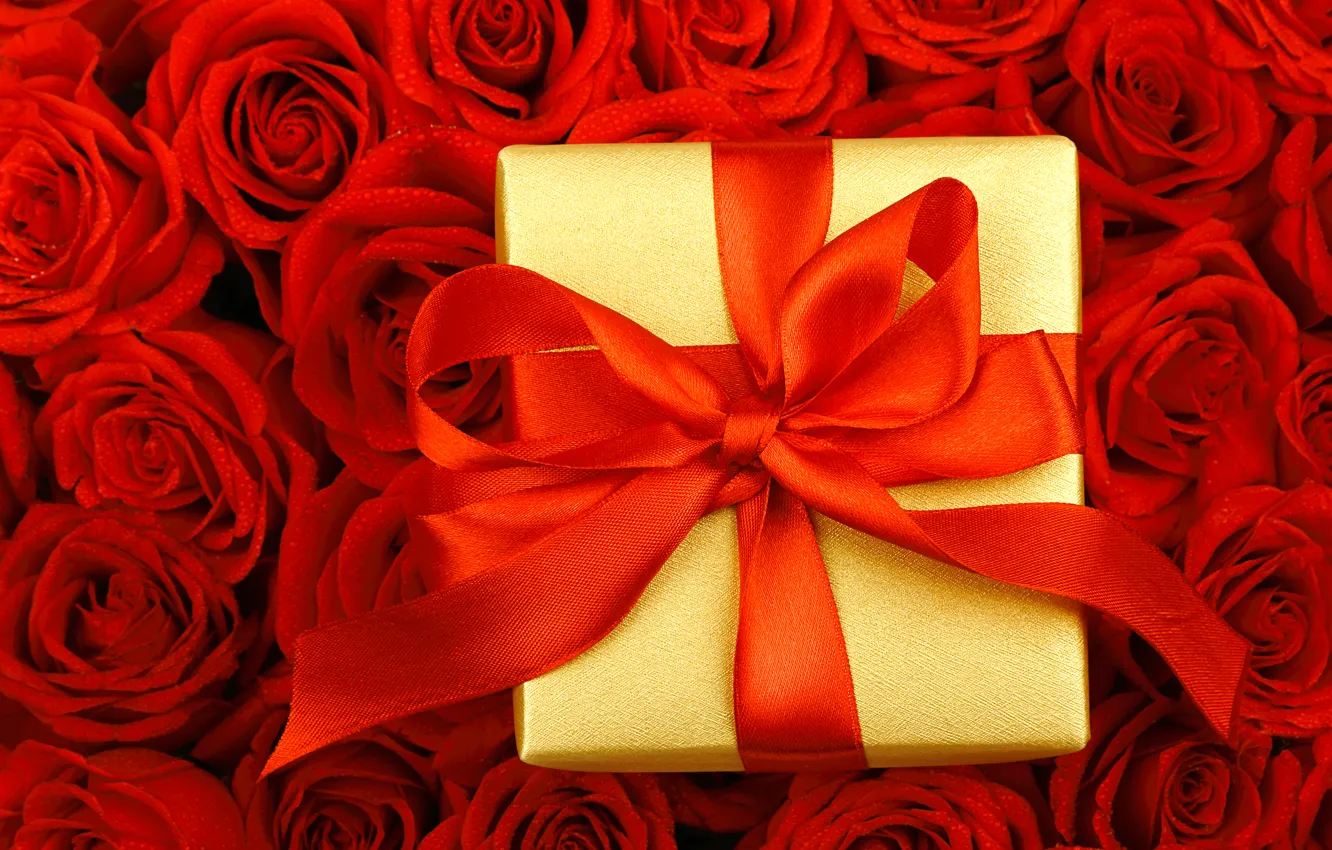 Фото обои капли, цветы, коробка, подарок, розы, лента