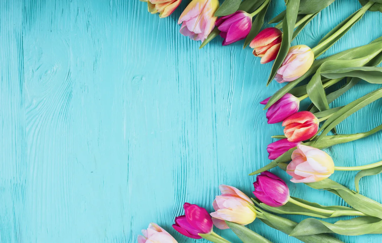 Фото обои цветы, colorful, тюльпаны, розовые, wood, pink, flowers, tulips
