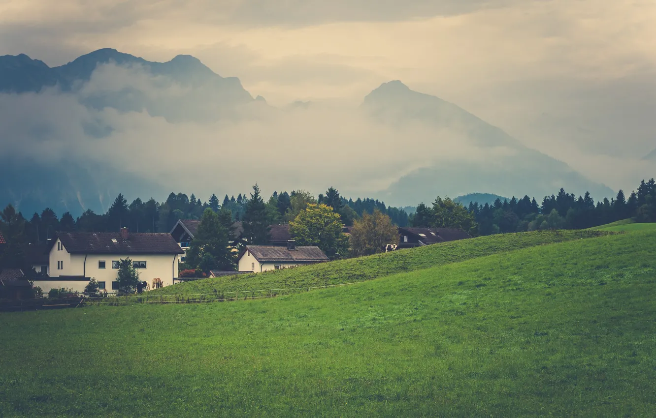 Фото обои grass, mountains, clouds, fog, slope, village, countryside