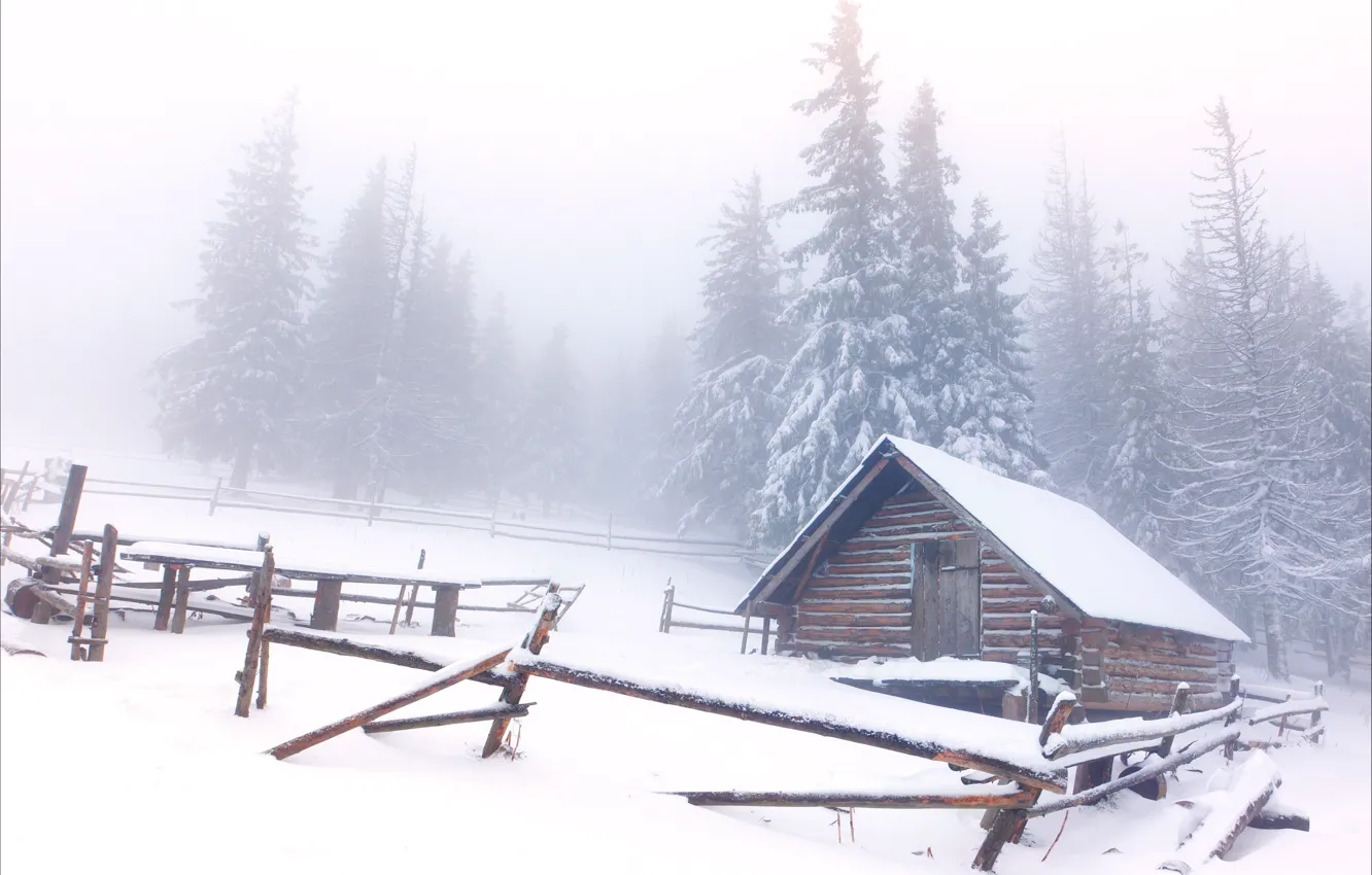 Фото обои зима, снег, домик, ёлки