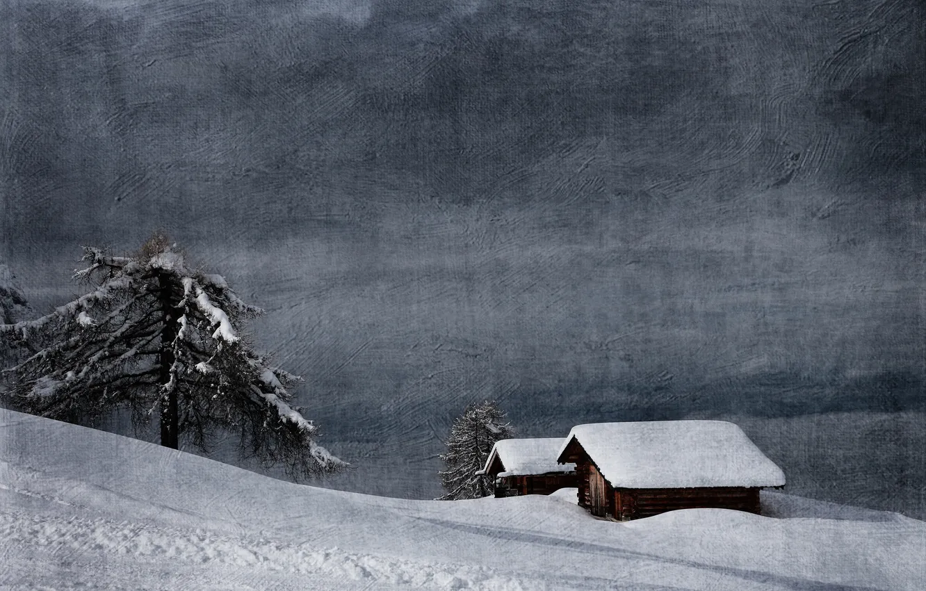 Фото обои зима, горы, дерево, текстура, Альпы, Италия, хижина