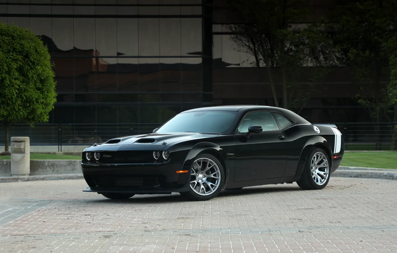 Фото обои Dodge, Challenger, black, muscle car, Dodge Challenger SRT Black Ghost