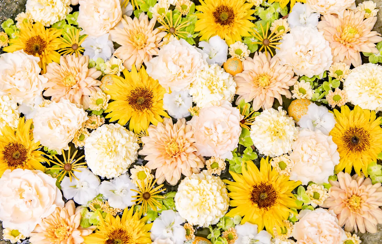 Фото обои Flowers, Flower bouquet, Daisy flowers, Yellow aesthetic, Chrysanthemum flowers