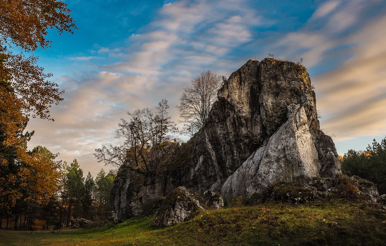 Фото обои осень, небо, облака, деревья, пейзаж, горы, ветки, природа