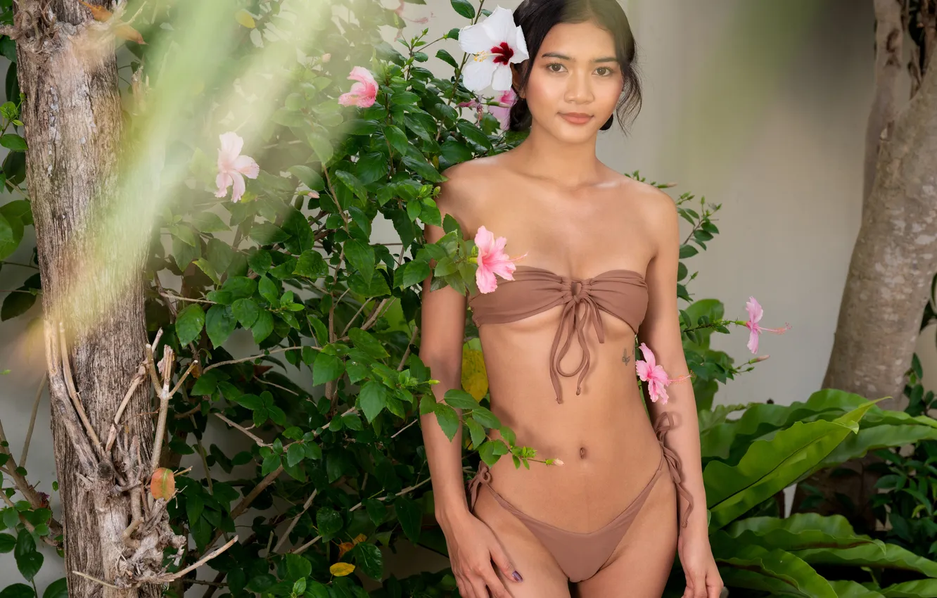 Фото обои model, brunette, gorgeous, photoshoot, posing, Asian beauty, beautiful face, wildflowers