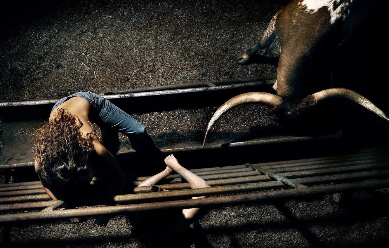 Фото обои девушка, рога, арена, загон, бык