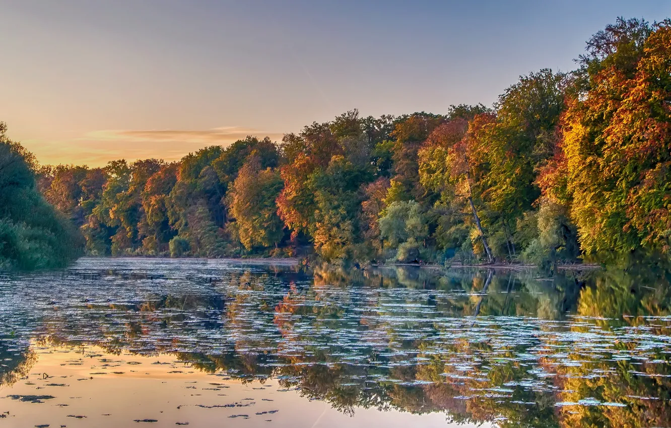 Фото обои осень, лес, деревья, водоем