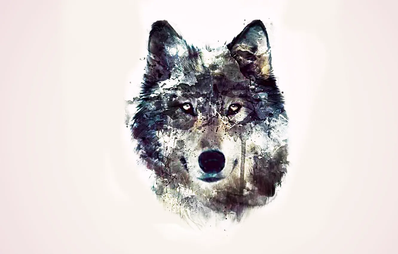 Фото обои глаза, фон, абстракции, волк