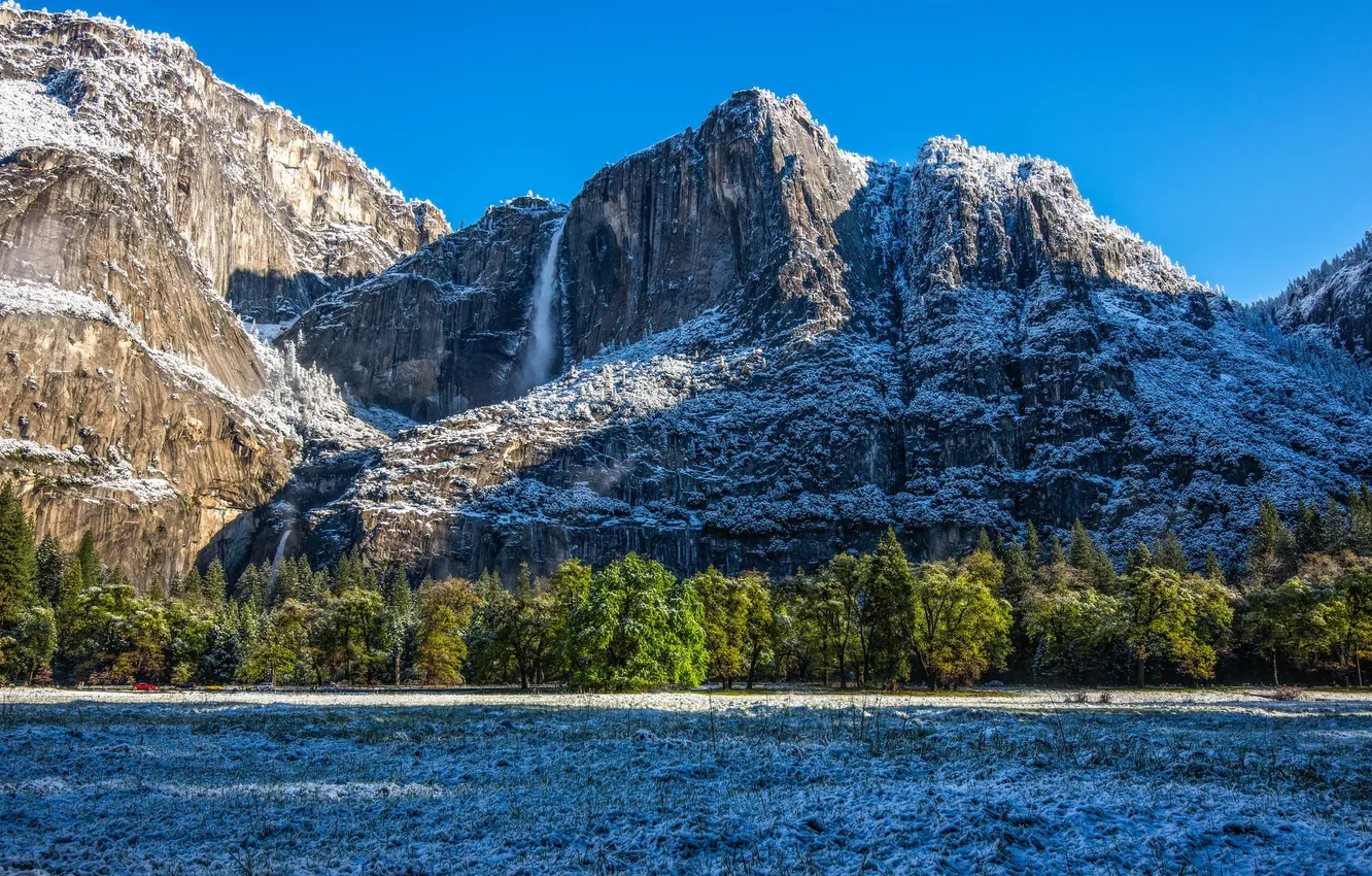 Фото обои зима, лес, деревья, долина, Калифорния, California, Национальный парк Йосемити, Yosemite National Park