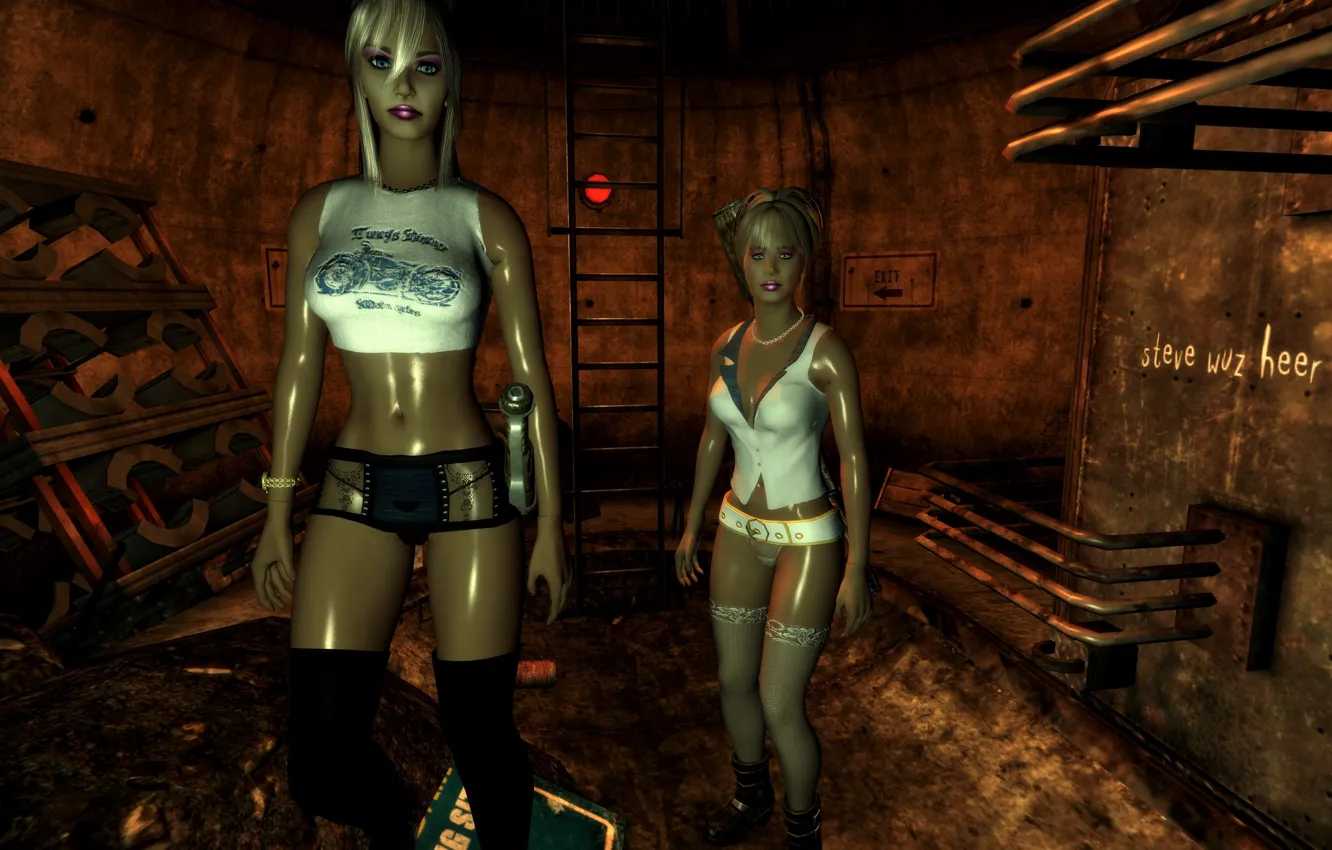 Фото обои sexy, Fallout, companions, Fallout new vegas, Ingame