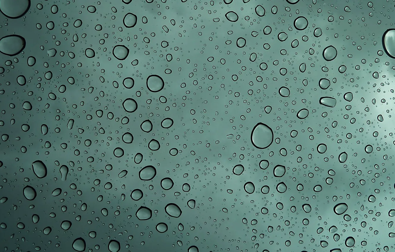 Фото обои вода, дождь, Капли