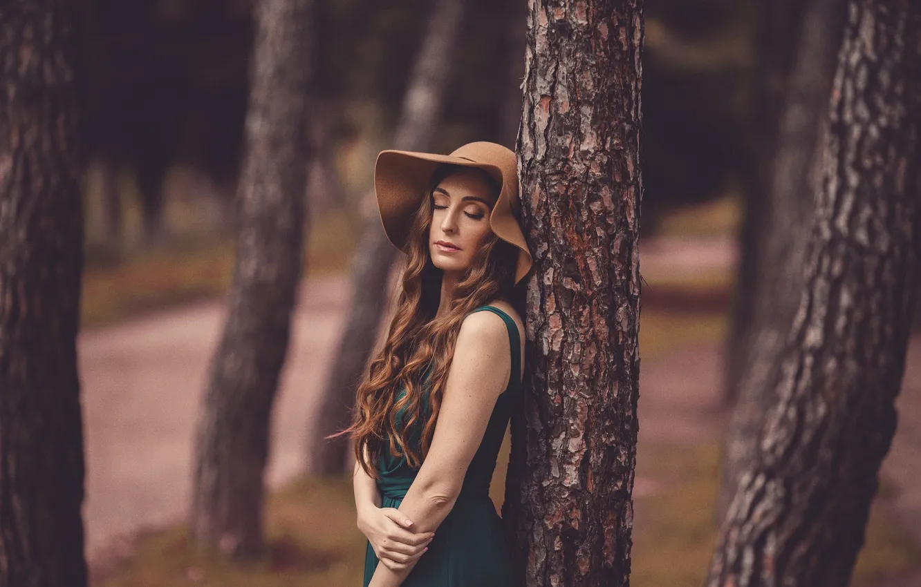 Фото обои девушка, лицо, дерево, шляпа, платье